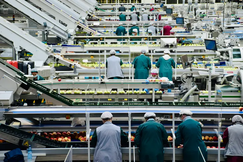 Ultra-Processed Food: What the Research Actually Says About Your Health